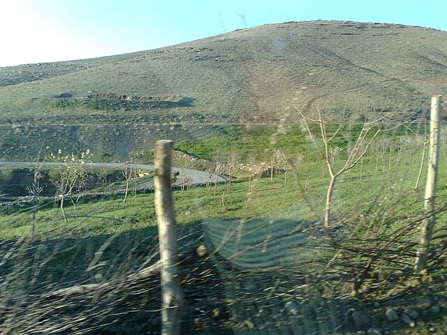 جنگل و دشت‌های کردستان در آتش