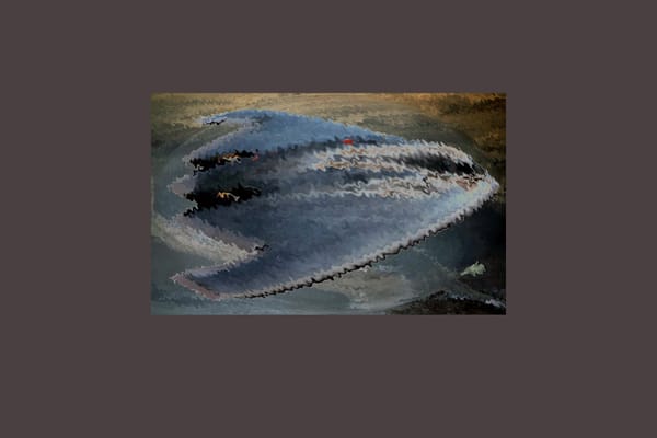 پس از رهبر، پس از فُردو