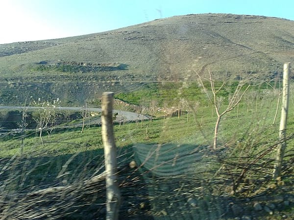 جنگل و دشت‌های کردستان در آتش